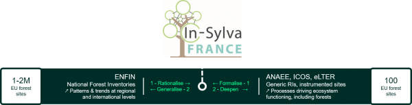 Autres_IR_eng