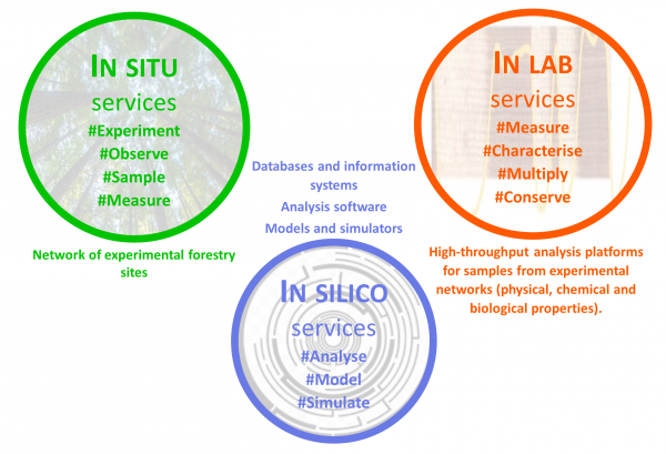 Three types of Services